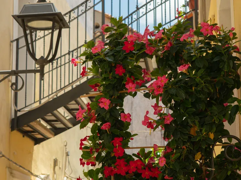 Farola de hierro y trepadora de flores rojas y rosas bajo una escalera exterior